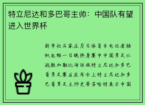 特立尼达和多巴哥主帅：中国队有望进入世界杯